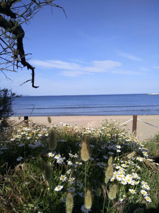 Apartamentos Stil Mar Anna - L'Escala Stil Mar Εξωτερικό φωτογραφία